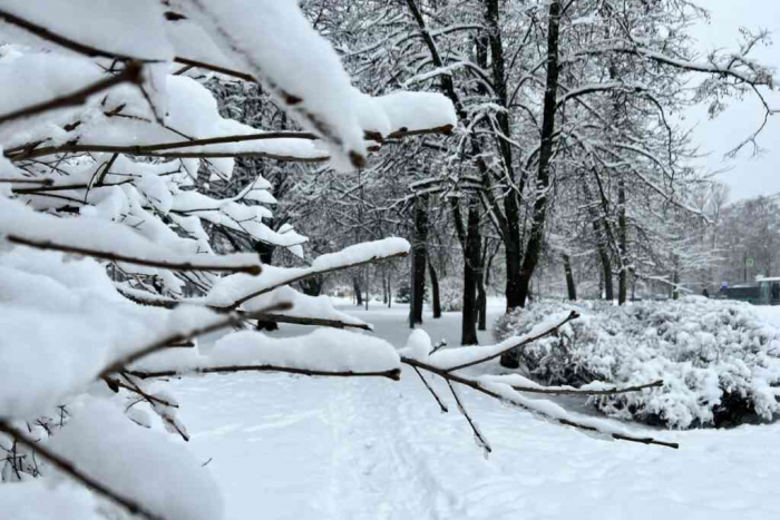 Росавиация: снегопады могут скорректировать работу аэропортов Москвы