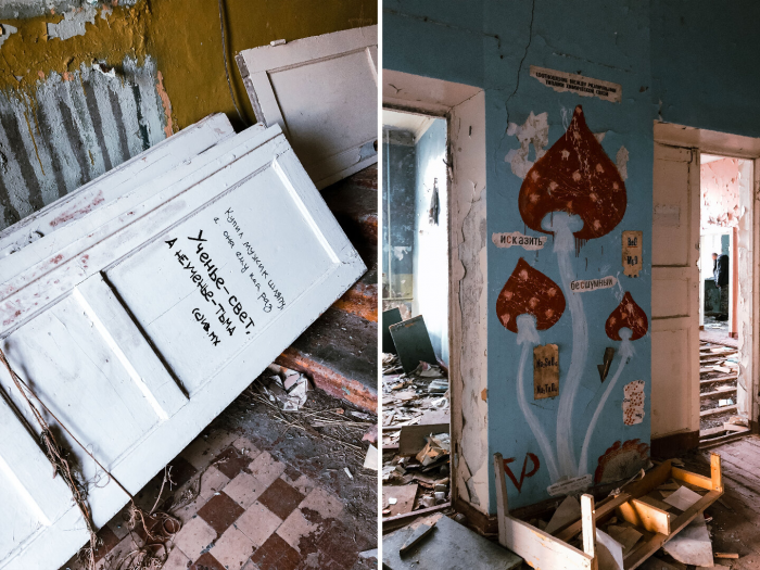 5 причин посетить Кольский полуостров