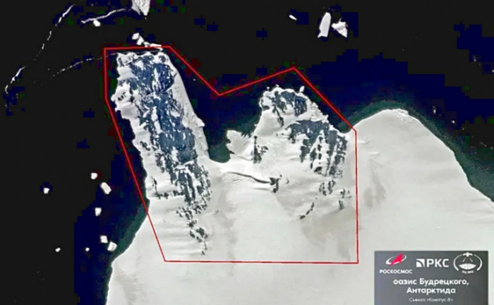В Антарктиде будут яблони цвести? На ледяном континенте обнаружен оазис
