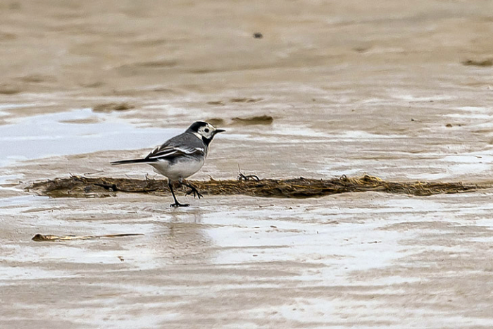 Turogo.ru - Туризм, охота и рыбалка