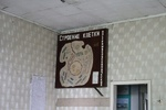 "Может рухнуть". Исторический Горный госпиталь в Барнауле разрушается на глазах