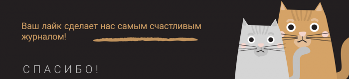 Румынский «Ломоносов» Константин Брынкуши: искусство 20 века