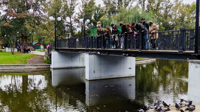 Что сделают с карпами из пруда в парке "Изумрудный" грядущей зимой?