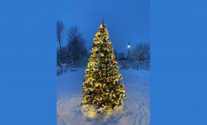 В Архангельске продолжают устанавливать главную городскую ёлку