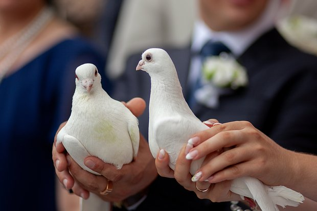 Как праздновать свадьбу в 2025-2026 годах? Современные традиции и актуальные старинные обычаи