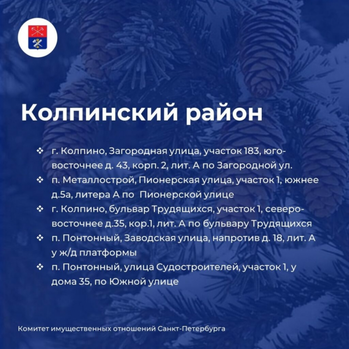 В Петербурге начали работать елочные базары