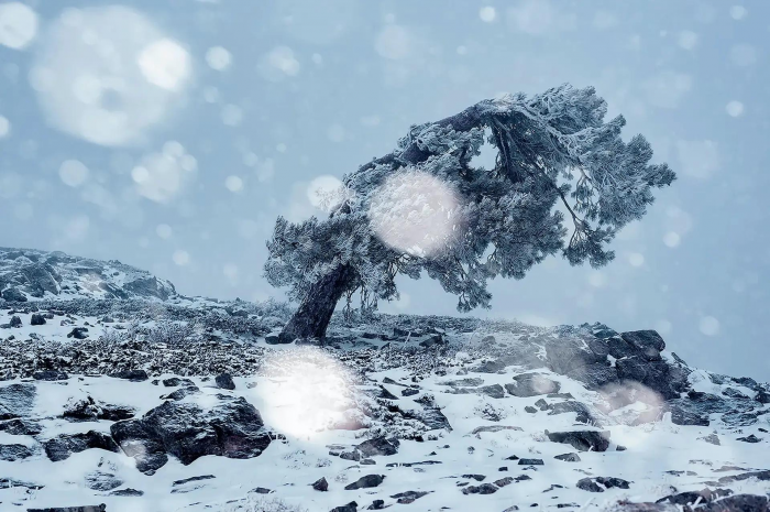 15 самых потрясающе красивых фото зимних видов Земли за всю историю конкурса Nature Photography Contest