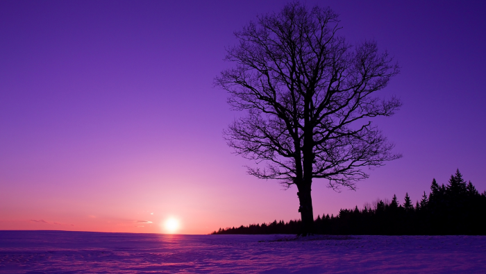 Почему снег бывает не только белый: 3 возможные причины