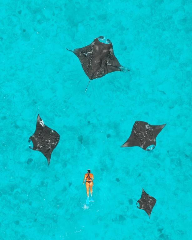 Романтический побег от реальности и полная перезагрузка: чем заняться в отпуске в феврале 2026