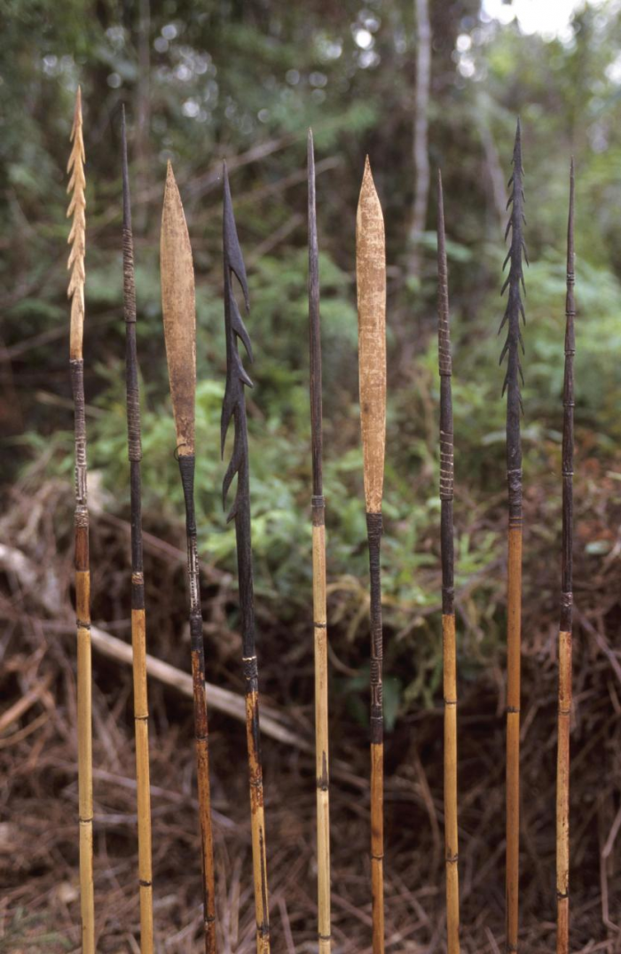 Древолазы-каннибалы: как живут последние первобытные люди на Земле