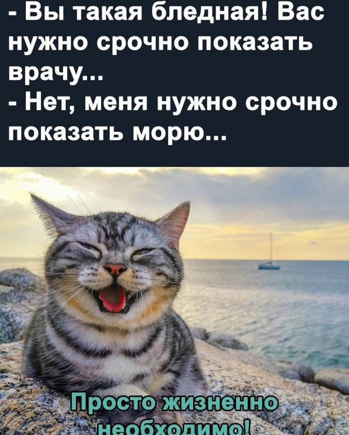 Смешные мемы и картинки о море
