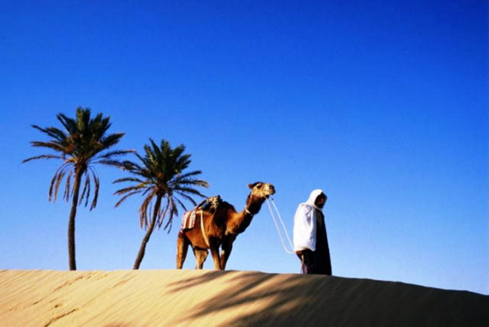 Африканский колорит и европейский сервис: знакомство с Тунисом