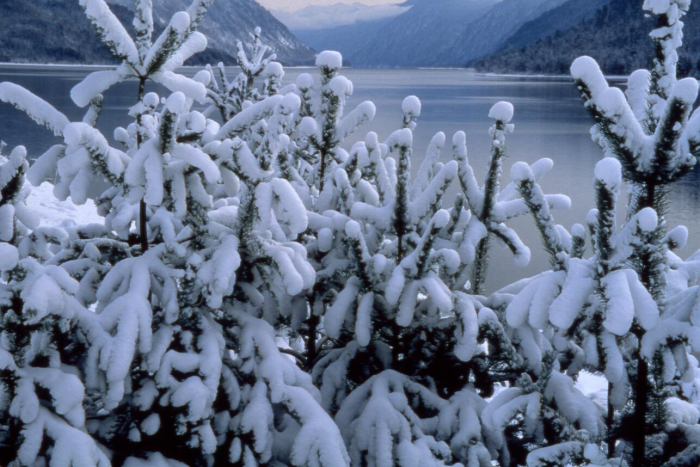 Активные праздники: куда поехать тем, кто не хочет пролежать без дела все каникулы