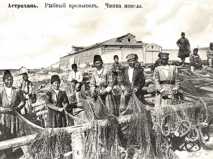 Про дореволюционных рыбов