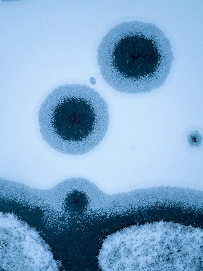 Победители конкурса «Фотограф дикой природы года 2025»