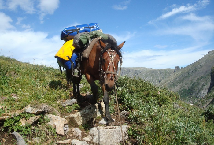 «Закрой глаза и держись за седло» Россиянка преодолела верхом на коне самые труднодоступные маршруты России. Как ей это удалось?
