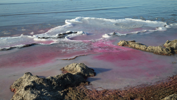 Почему снег бывает не только белый: 3 возможные причины