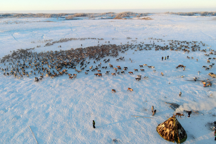 Таймыр: 5 причин посетить полуостров