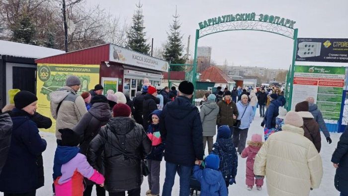 Лучшая массовая сцена и короткометражка. Новости amic.ru - как победители "Оскара"