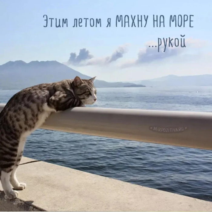 Смешные мемы и картинки о море