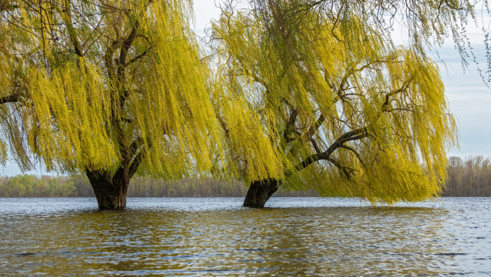 Обь: чем интересна великая сибирская река