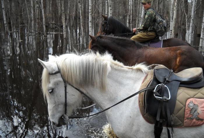 «Закрой глаза и держись за седло» Россиянка преодолела верхом на коне самые труднодоступные маршруты России. Как ей это удалось?