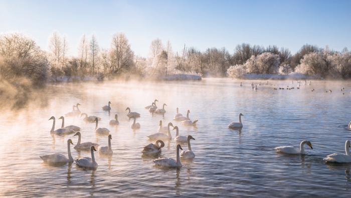 5 озер, которые не замерзают даже зимой