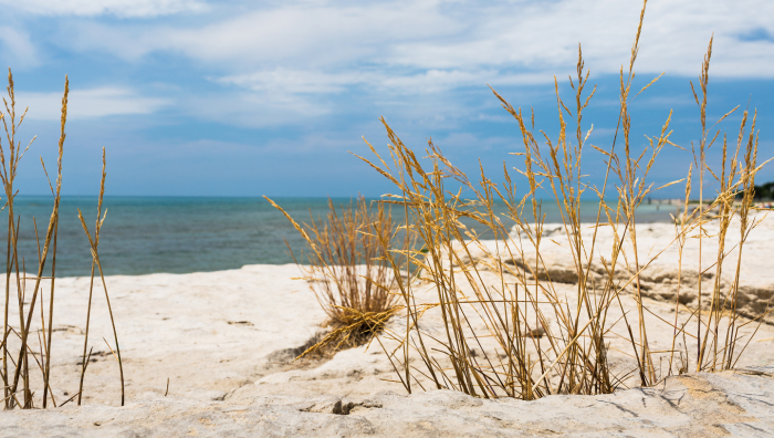 Каспийское море — это озеро?