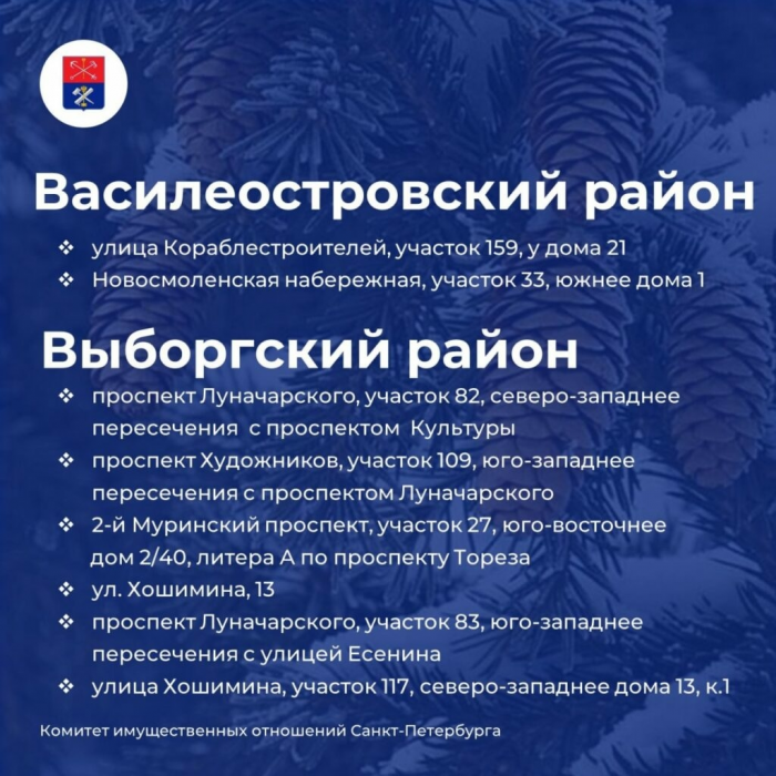 Петербуржцам назвали адреса елочных базаров, которые заработают 20 декабря 2025