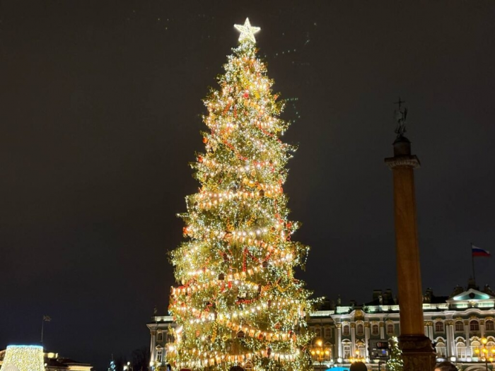 На Дворцовой площади зажгли главную новогоднюю ель Петербурга