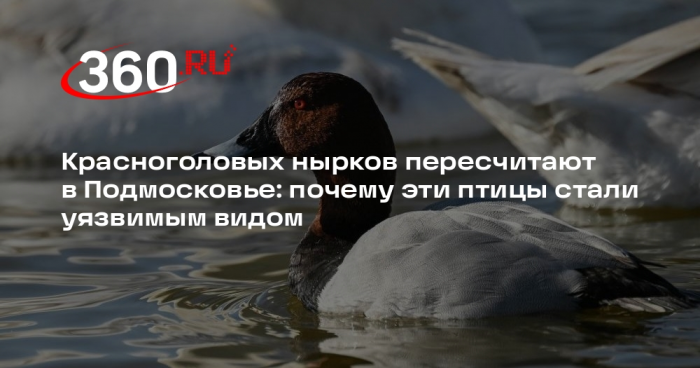 Turogo.ru - Туризм, охота и рыбалка