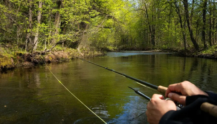 Turogo.ru - Туризм, охота и рыбалка