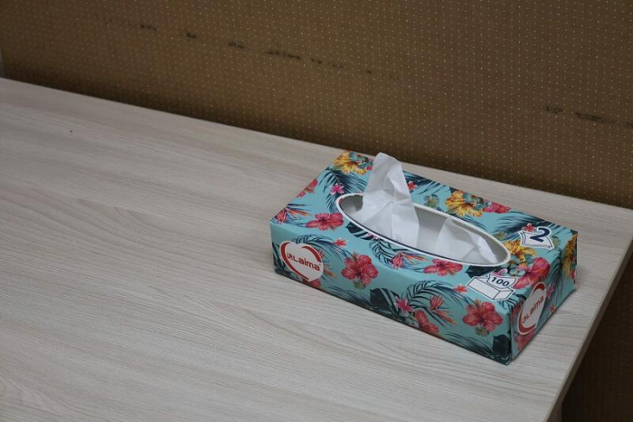 Безопасное место. Как Кризисный центр на Алтае помогает женщинам в самых сложных ситуациях