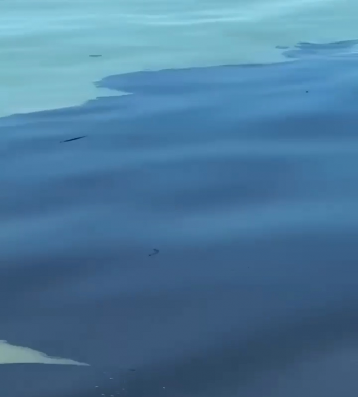 Как выглядят чёрные пляжи Туапсе: курорт продолжает тонуть в мазуте. В чем отличие от Анапы?