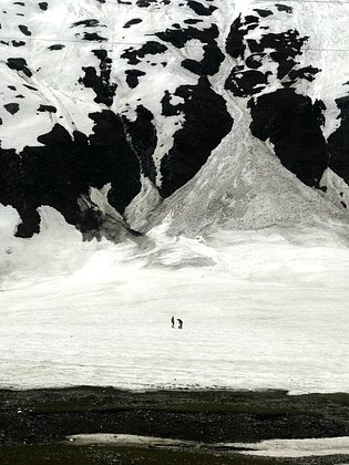 «Простая, но глубокая красота вещей» Какими оказались лучшие фотографии года, сделанные на iPhone?