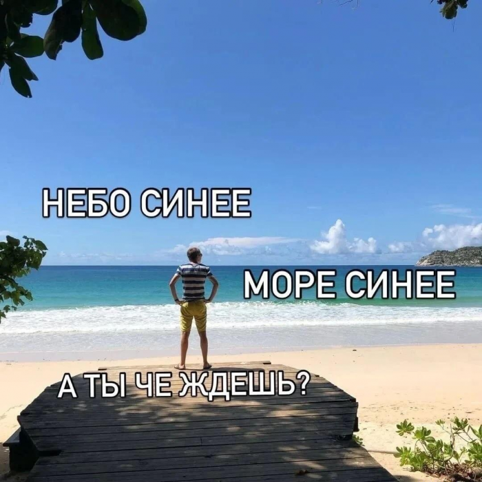 Смешные мемы и картинки о море