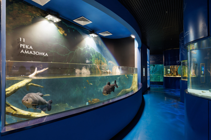 Нетипичный Калининград: город, который ищет себя в четырёх измерениях