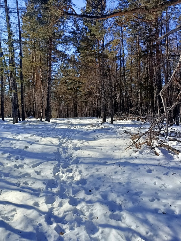 Байкал. Февраль 2023. День 6. Один на один (более 30 км пешки)