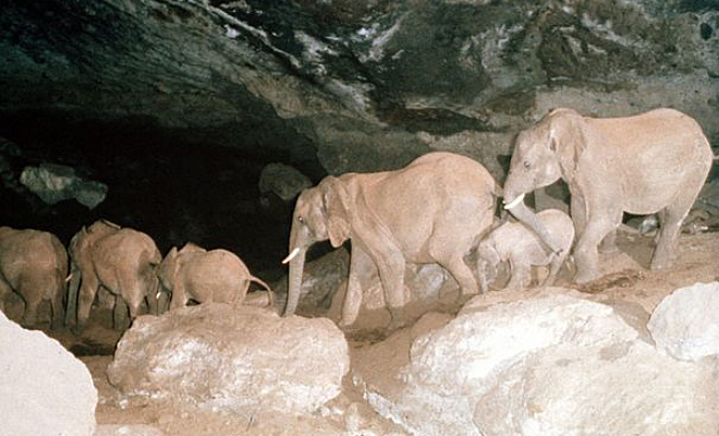 Turogo.ru - Туризм, охота и рыбалка