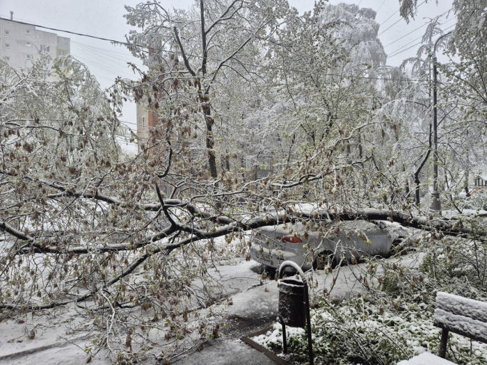 Поваленные деревья, поврежденные машины: Москва оказалась в центре снежного апокалипсиса (много фото)