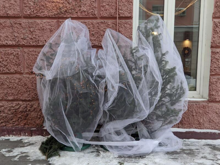 Сияй, Барнаул! Как украсили краевую столицу к Новому году