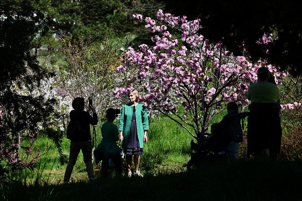 Что посмотреть в Сочи за выходные? Куда можно сходить за пару дней, главные места и цены