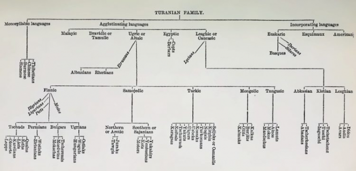 О туранском происхождении этрусков