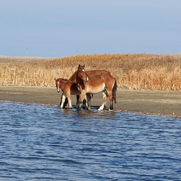 Размер приманок имеет значение