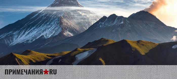 Приложение «Зелёная кнопка» включено в число претендентов на «Премию Рунета-2025»