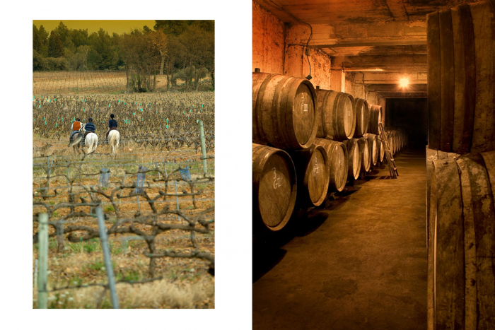 Кем был Эммануэль Рейно, главный винодел долины Роны