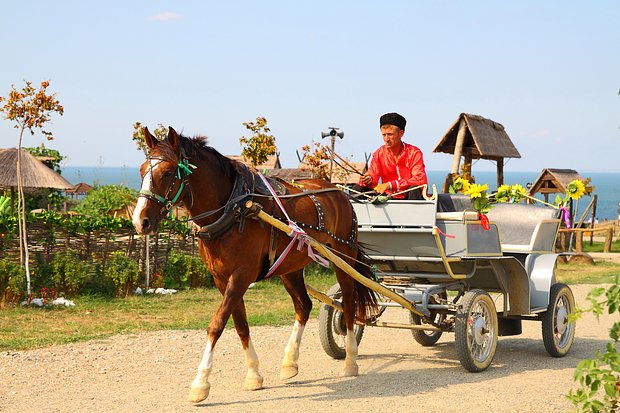 Отдых на Азовском море в 2026 году: 8 курортов для недорогого отпуска