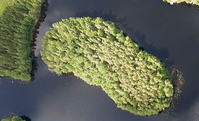 Мужчина искал кусок земли под сад, но нашел целый остров на продажу. Обошлось дешевле дачи