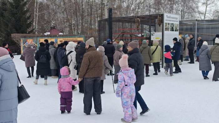 Лучшая массовая сцена и короткометражка. Новости amic.ru - как победители "Оскара"