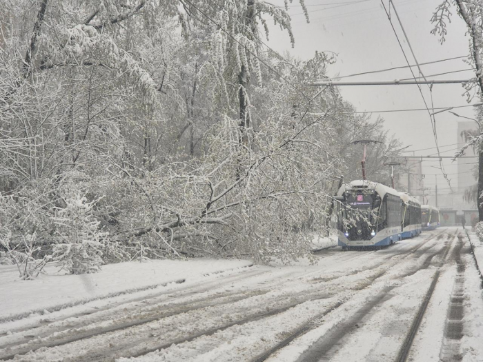 Поваленные деревья, поврежденные машины: Москва оказалась в центре снежного апокалипсиса (много фото)